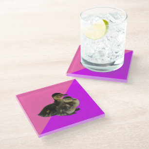 Baby Ducks on Pink Raspberry and Purple Sorbet Glass Coaster