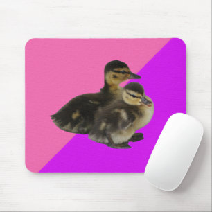 Baby Ducks on Pink Raspberry and Purple Sorbet Mouse Pad