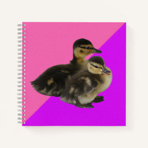 Baby Ducks on Pink Raspberry and Purple Sorbet Notebook