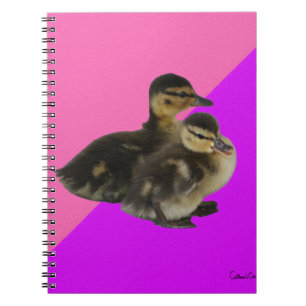 Baby Ducks on Pink Raspberry and Purple Sorbet Notebook