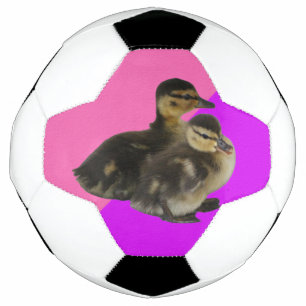 Baby Ducks on Pink Raspberry and Purple Sorbet Soccer Ball