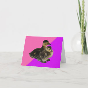 Baby Ducks on Pink Raspberry and Purple Sorbet Thank You Card