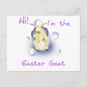 Baby Easter Goat Holiday Postcard