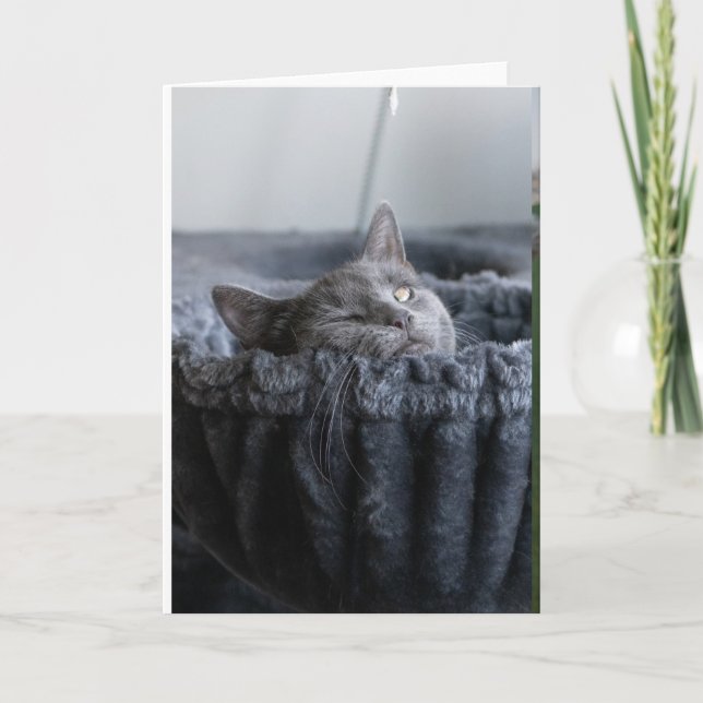 Baby El Card (Front)