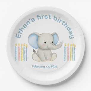 Baby Elephant 1st Birthday Blue Watercolor Paper Plate
