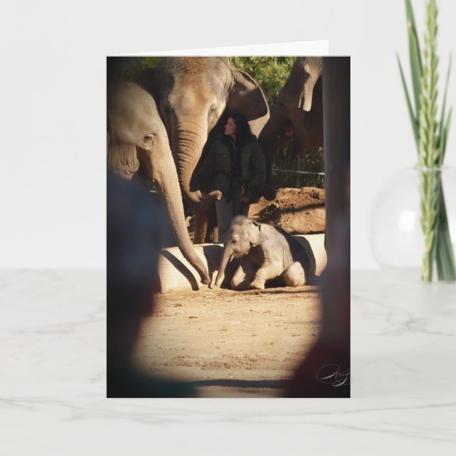 Baby Elephant Birthday Card (Front)