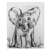 Baby Elephant Black and White
