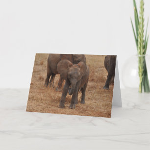 Baby Elephant Card