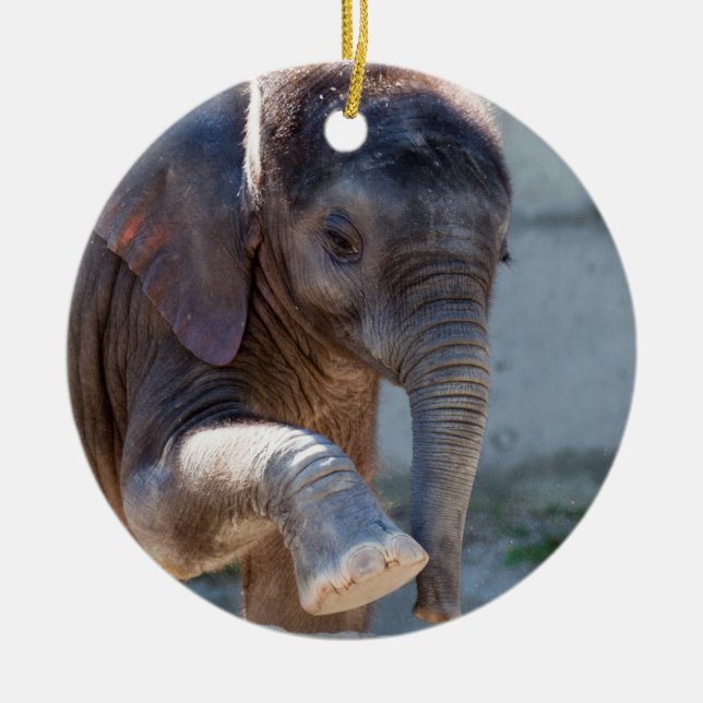 Baby Elephant Ceramic Tree Decoration (Front)