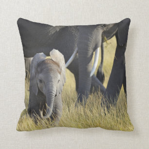 Baby Elephant Cushion