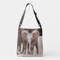 Baby Elephant Cute African Elephant with Mum