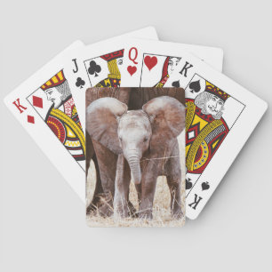 Baby Elephant Cute African Elephant with Mum Playing Cards