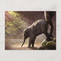 Baby Elephant Drinking Water Photo