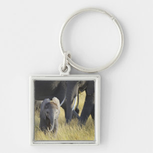 Baby Elephant Key Ring