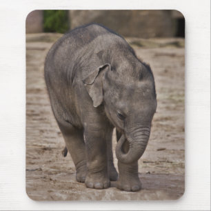 Baby Elephant Mousemat