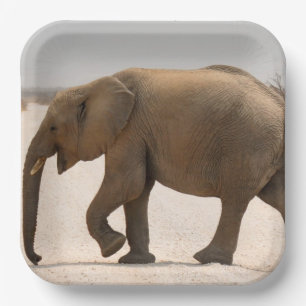 Baby Elephant on Dusty Road Paper Plate