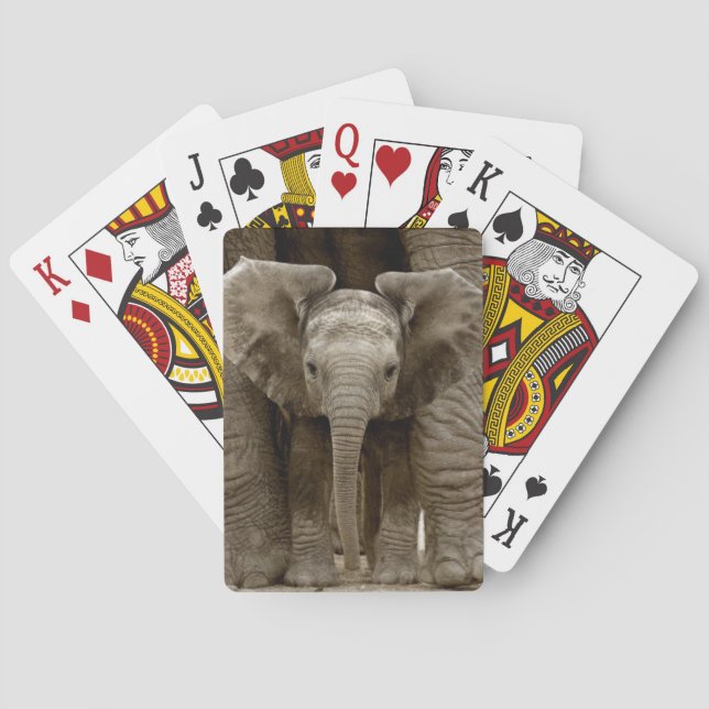 Baby Elephant Playing Cards (Back)