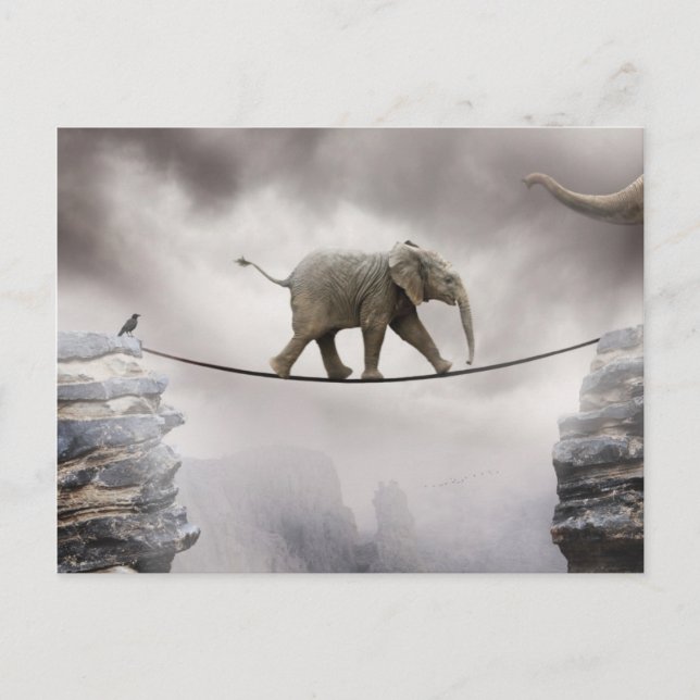 Baby Elephant Walks The Tightrope Postcard (Front)