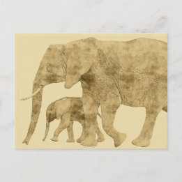 Baby Elephant with it's Mother  Postcard