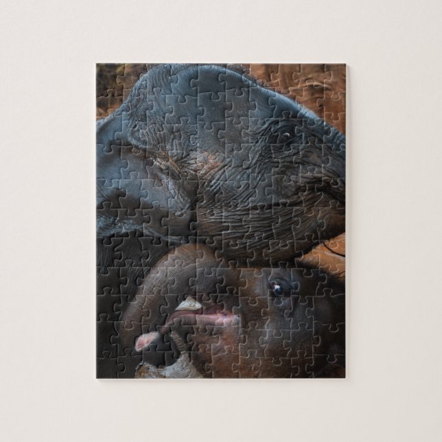Baby Elephants in Water Smiling Jigsaw Puzzle (Vertical)