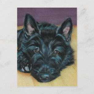 'Baby Em' - Scottie puppy Postcard