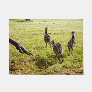 Baby Emu Chicks And Big Foot,  Doormat