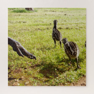 Baby Emu Chicks And Big Foot, Jigsaw Puzzle
