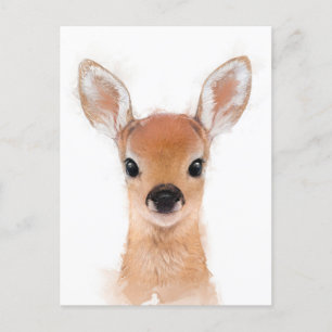 Baby Fawn Postcard