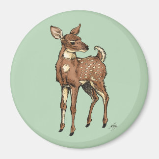 Baby Fawn with mint background Magnet