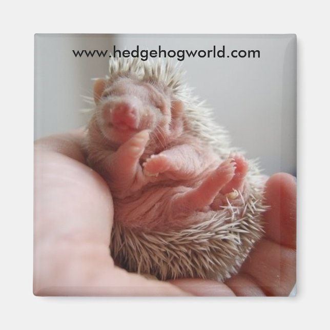 Baby feet magnet (Front)