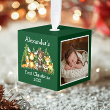 Baby First Christmas Forest Animals Green Photo