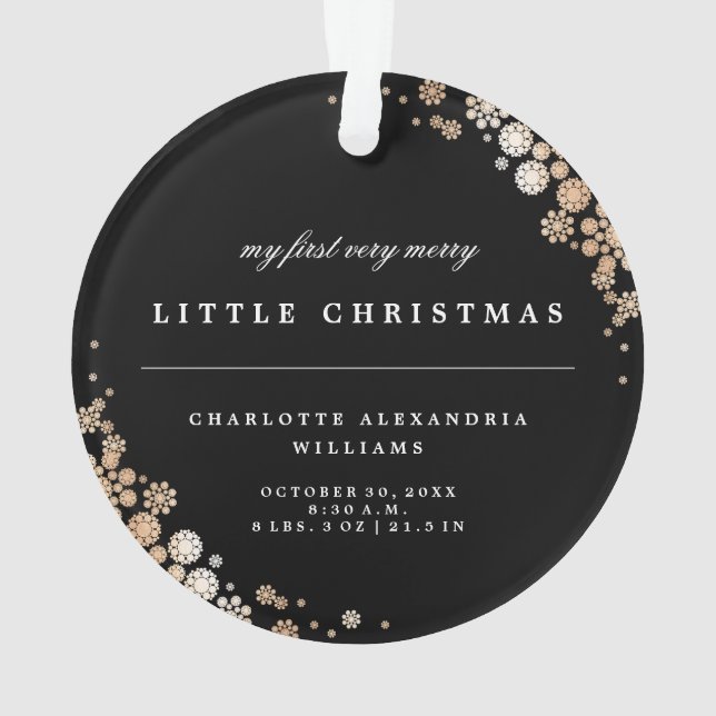 Baby First Christmas Winter Snowflakes Photo Birth Ornament (Back)