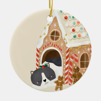 Baby First Xmas Cat in a Gingerbread House Ceramic Tree Decoration