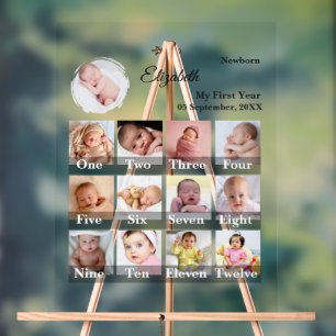 Baby First Year 12 Month Photo Collage  Milestone Acrylic Sign