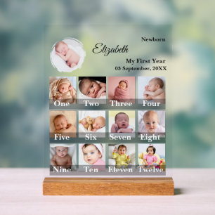 Baby First Year 12 Month Photo Collage  Milestone Acrylic Sign