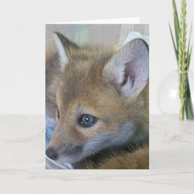 Baby Fox Greeting Card (Front)