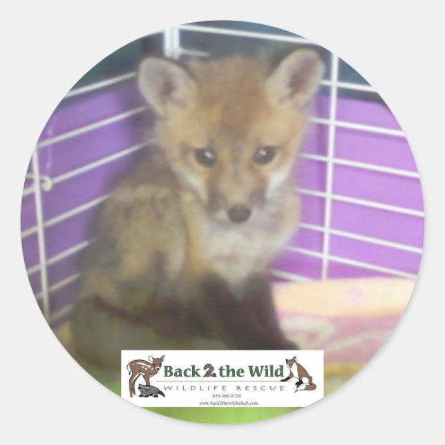 baby fox stickers (Front)