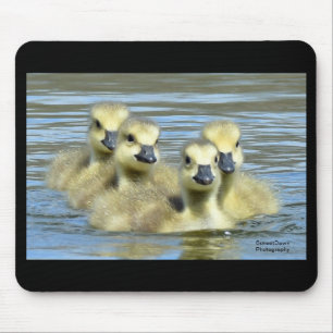 Baby Geese Mouse Pad