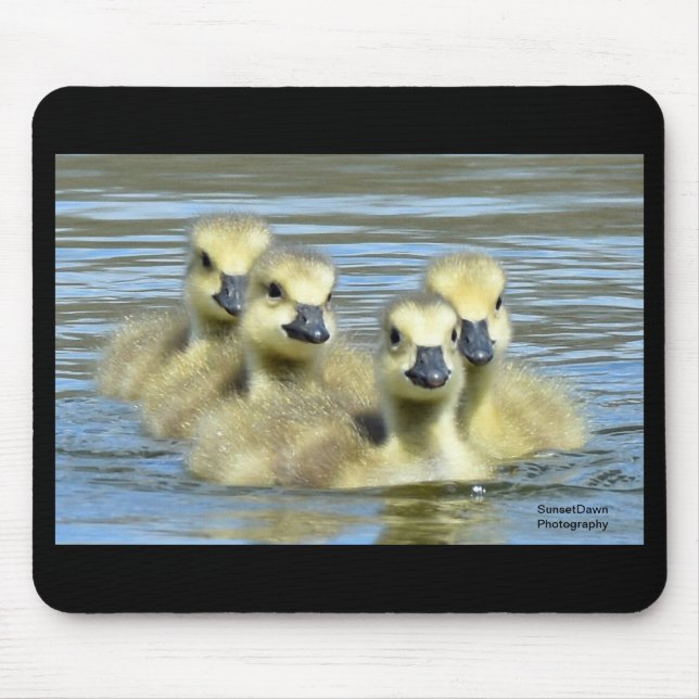 Baby Geese Mouse Pad (Front)