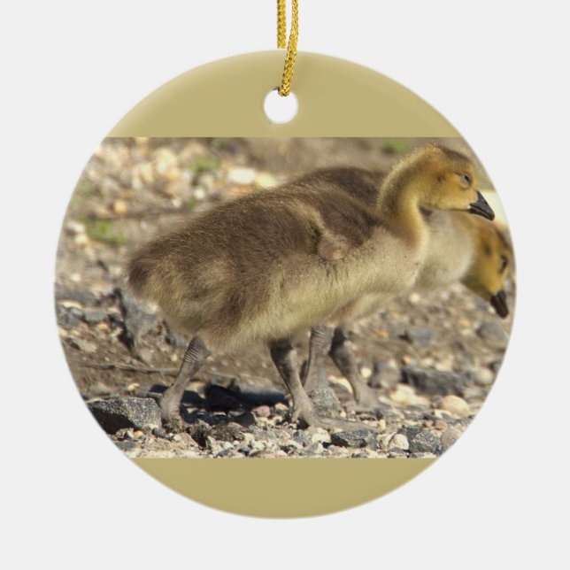 Baby Geese Photo Ornament  (Front)