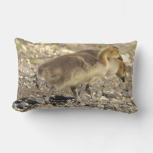 Baby Geese Photo Pillow