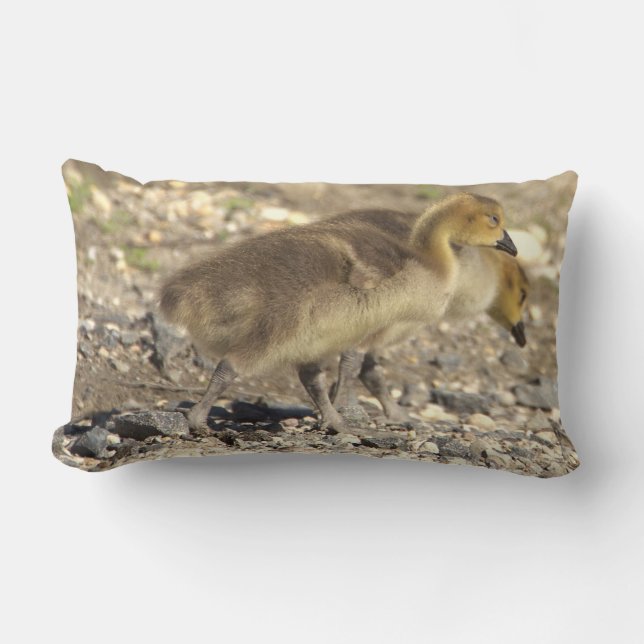 Baby Geese Photo Pillow  (Front)