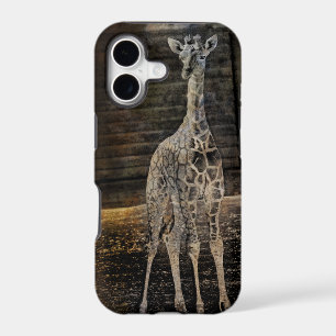Baby Giraffe