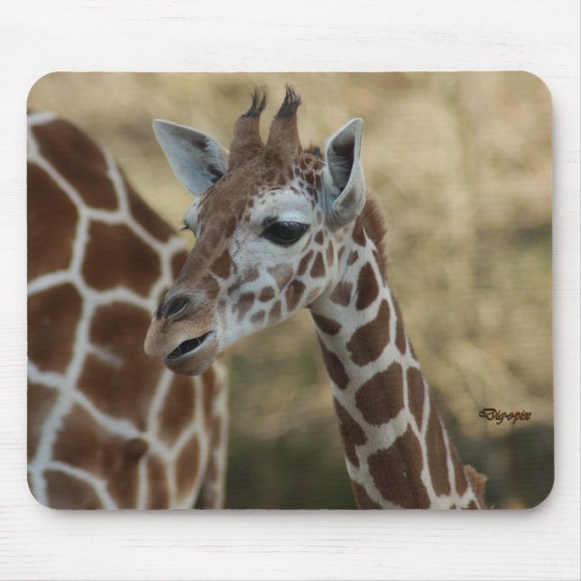 Baby Giraffe 02 Mouse Pad (Front)