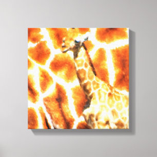 Baby Giraffe Canvas Print