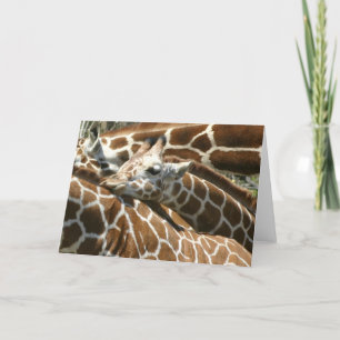 Baby Giraffe Card