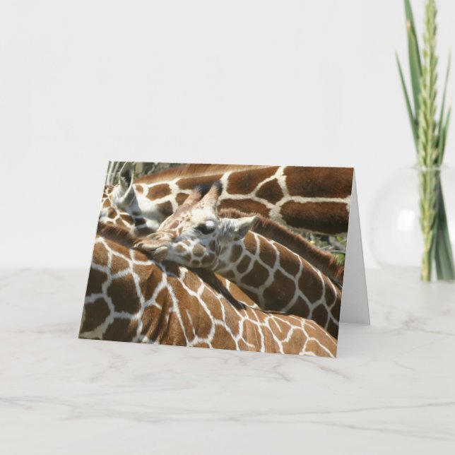 Baby Giraffe Card (Front)