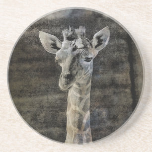Baby Giraffe Coaster