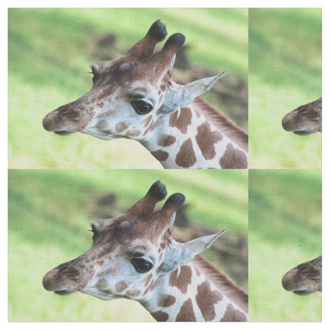 Baby giraffe fabric (Close Up)