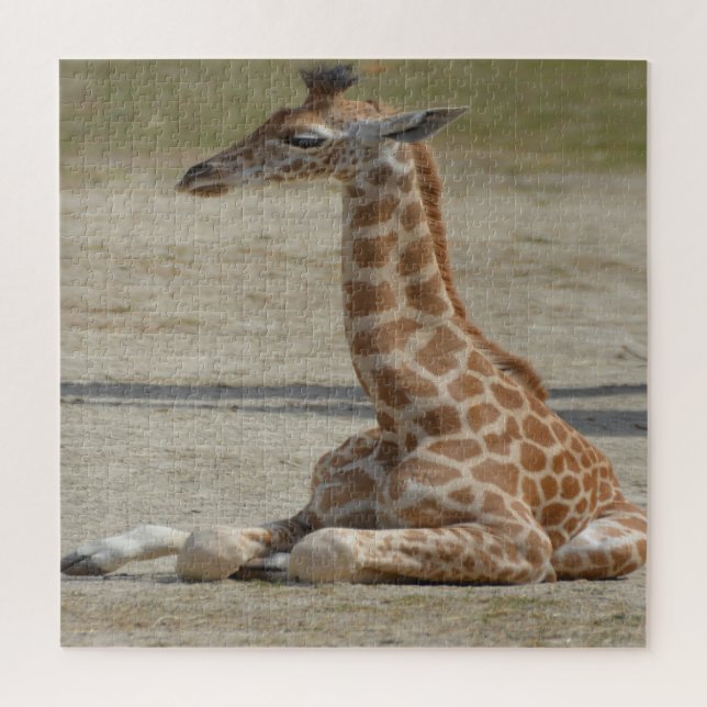 Baby Giraffe Jigsaw Puzzle (Vertical)